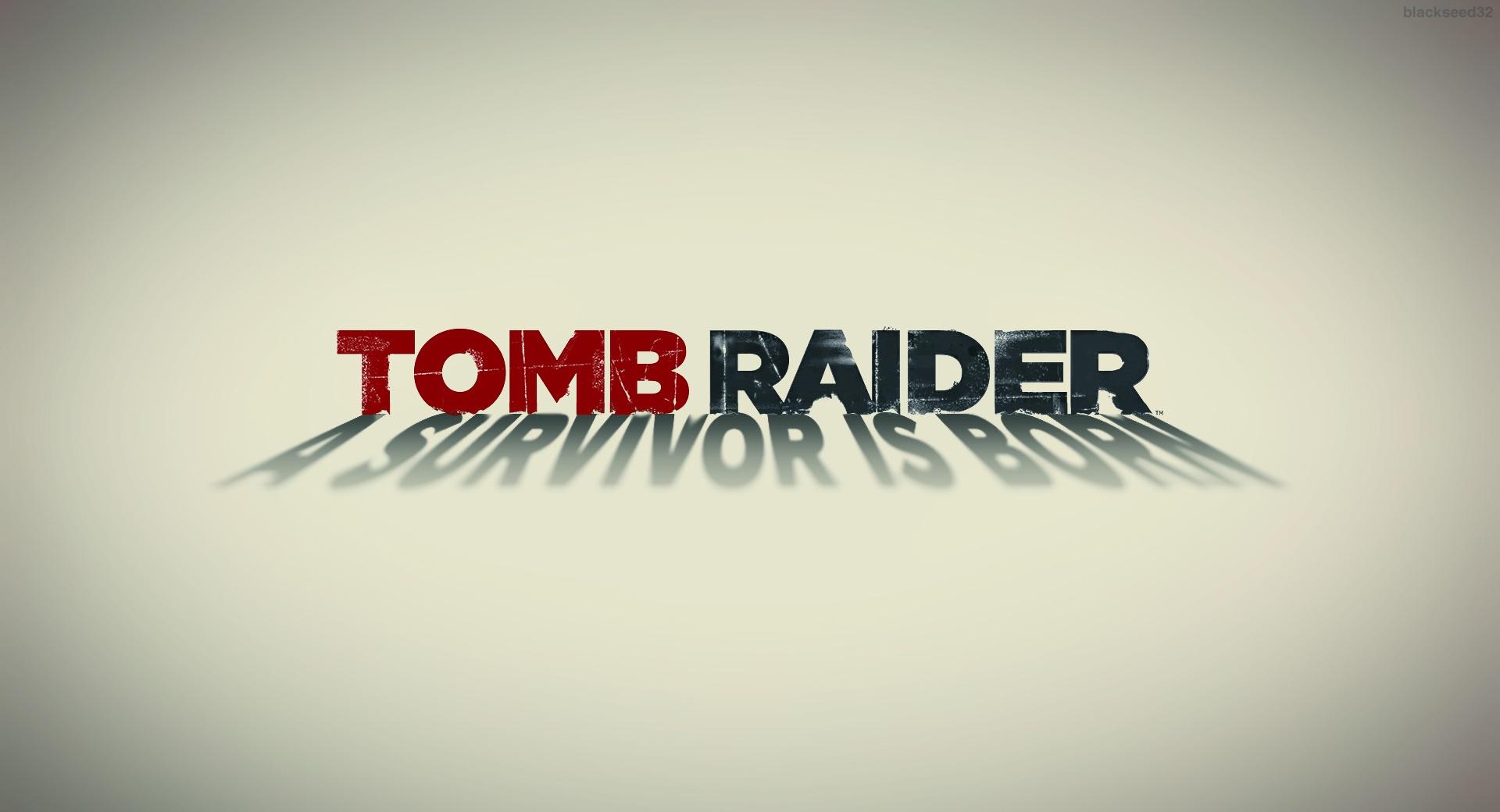 Tomb Raider 2013 White Poster wallpapers HD quality