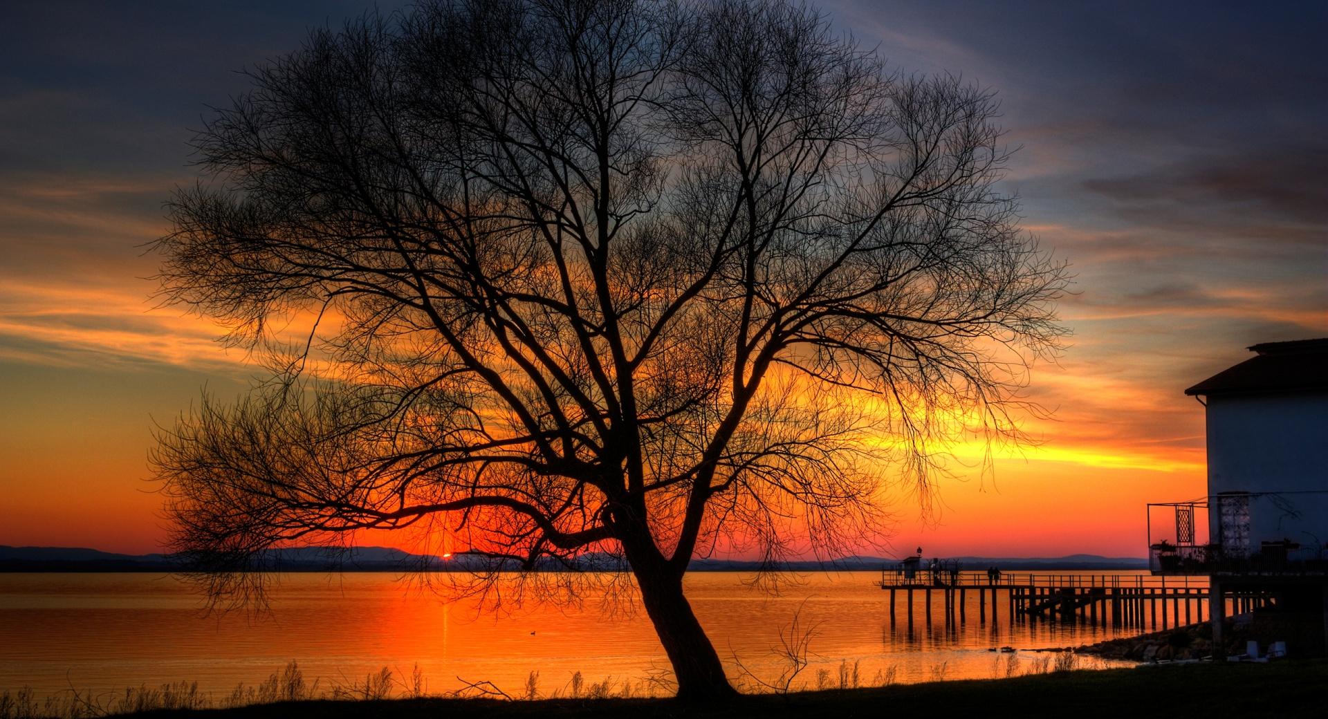Tree And Sunset, HDR wallpapers HD quality
