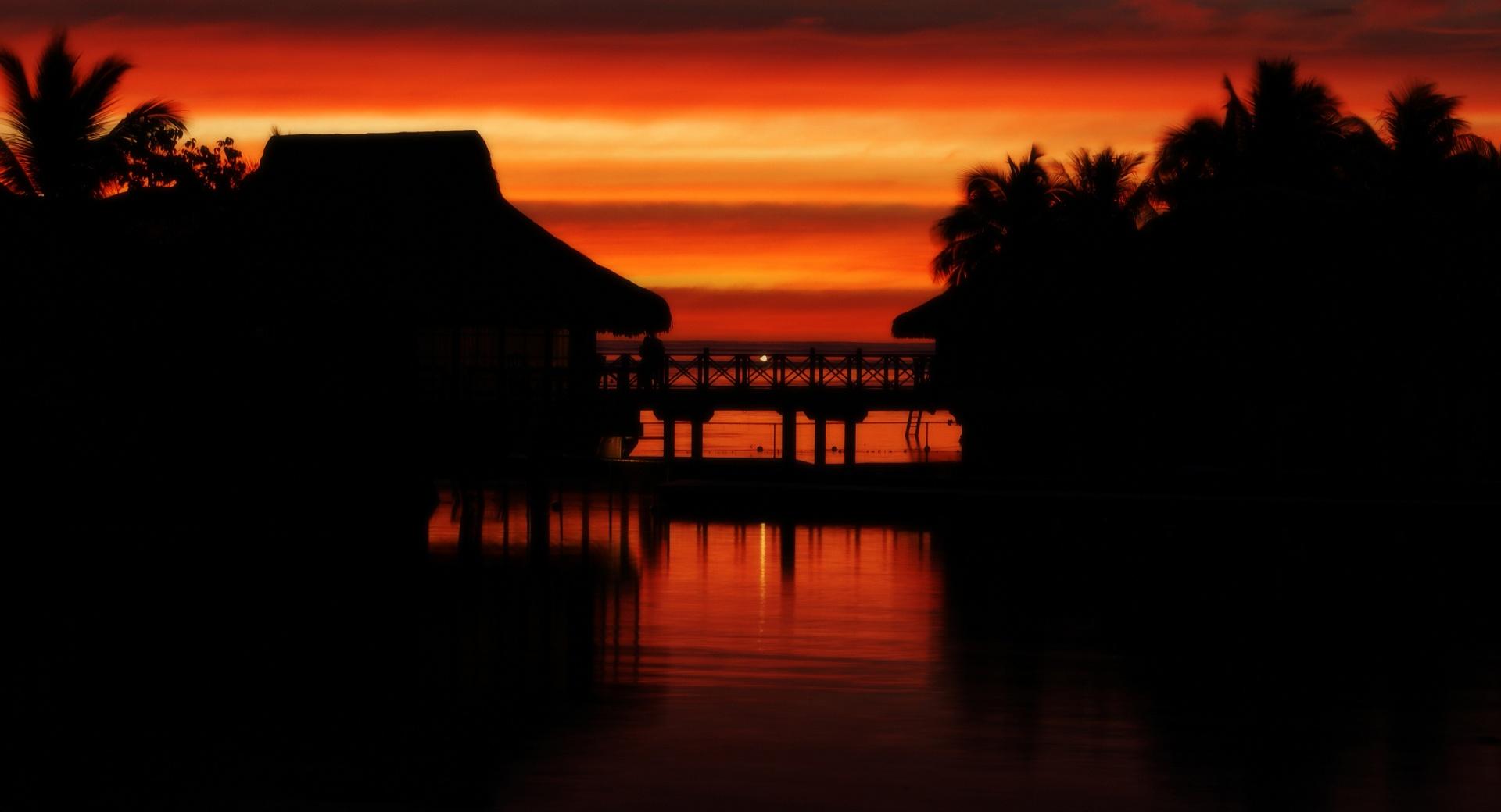 Tropical Sunset Silhouettes at 1024 x 1024 iPad size wallpapers HD quality
