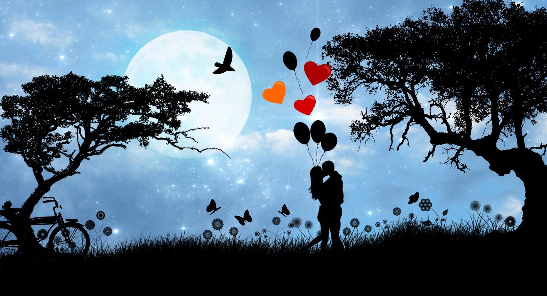Valentines Day Love Under The Moonlight at 1600 x 1200 size wallpapers HD quality