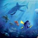 Finding Dory images