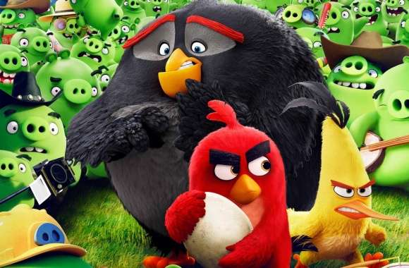 Angry Birds Animation Movie wallpapers hd quality