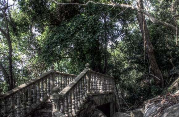 Bridge in a Forest HDR