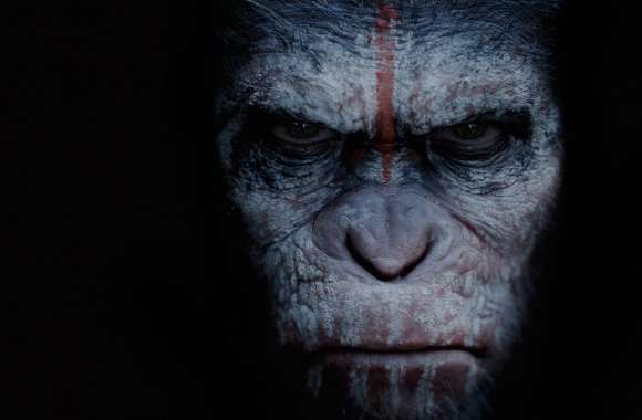 Dawn of the Planet of the Apes 2014 Movie