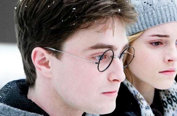 Harry Potter And Hermione