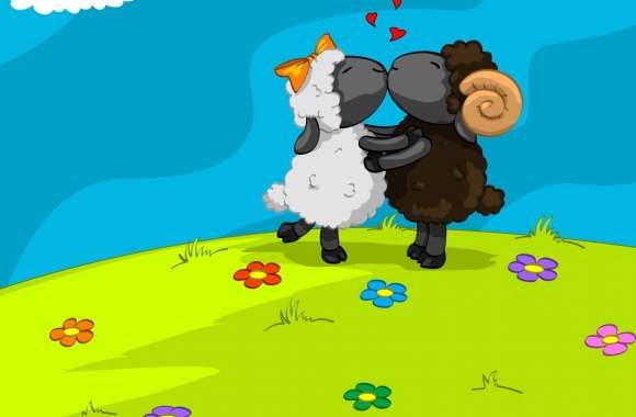 Sheeps In Love wallpapers hd quality