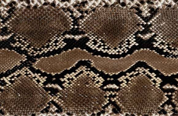 Snake Leather