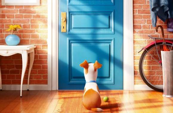 The Secret Life Of Pets wallpapers hd quality
