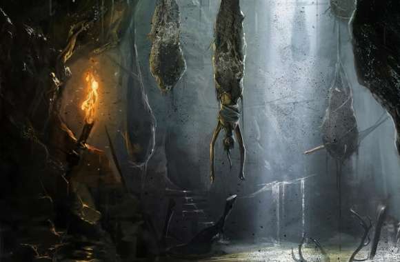 Tomb Raider 2013 - Den