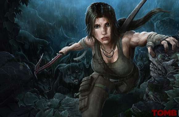Tomb Raider 2013 Wolves wallpapers hd quality