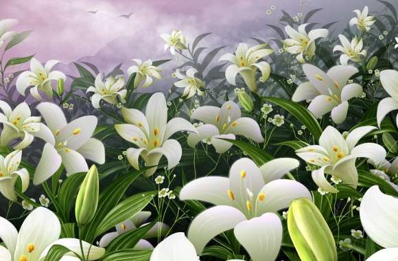 White Lilies wallpapers hd quality