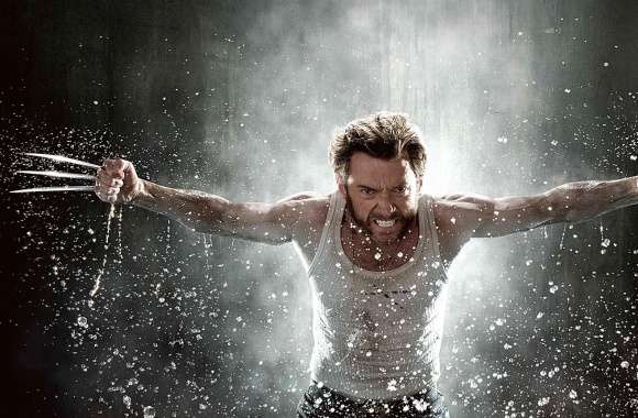 Wolverine 2013 wallpapers hd quality