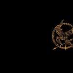 The Hunger Games hd wallpaper