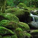 Small Waterfall free download