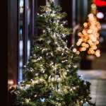Christmas Tree hd pics