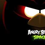 Angry Birds Space hd wallpaper