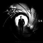 Skyfall PC wallpapers