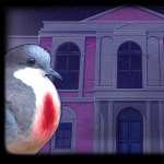 Hatoful Boyfriend pics