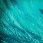 The Shallows wallpapers for iphone
