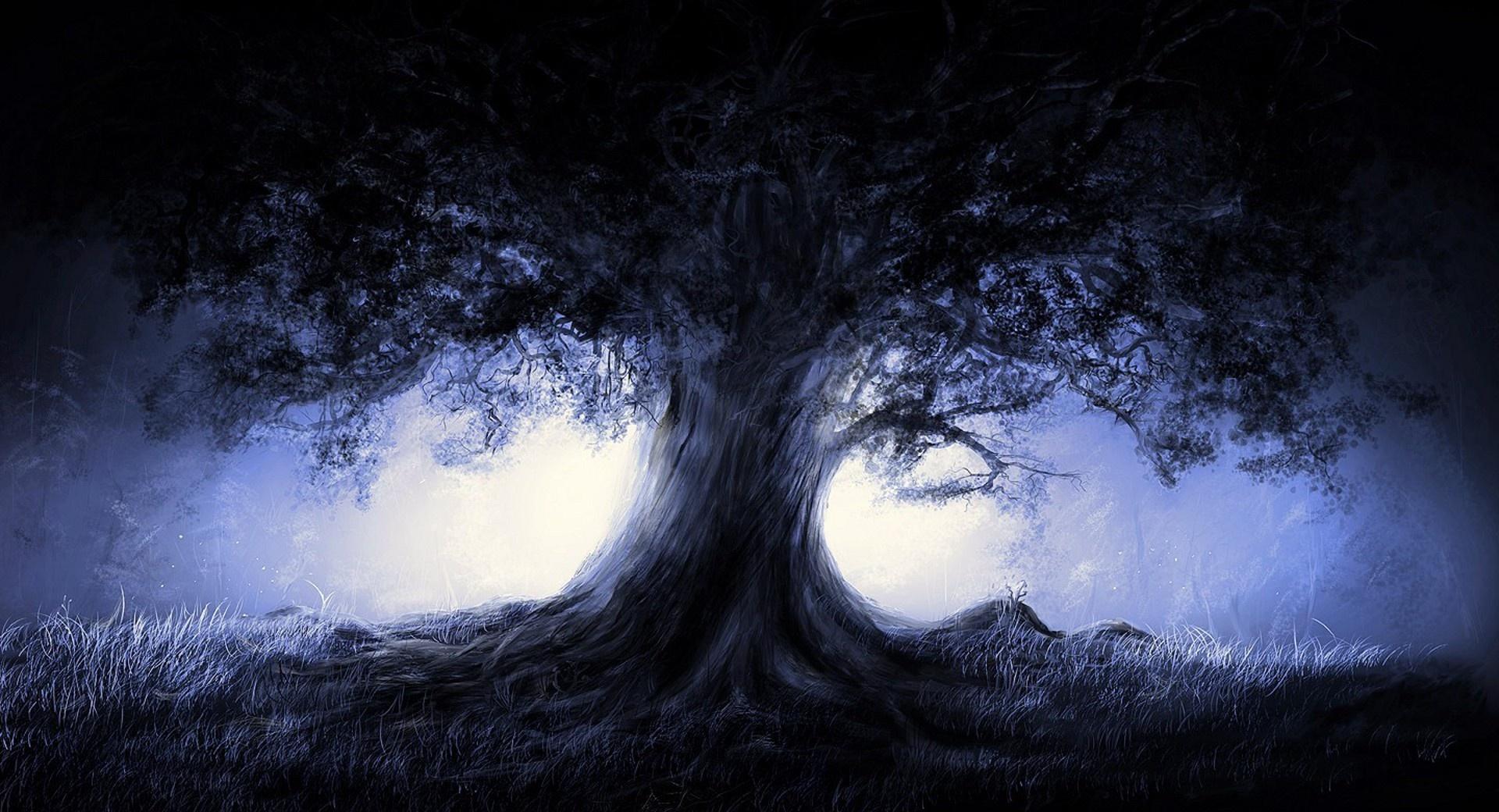 Behind The Tree wallpapers HD quality