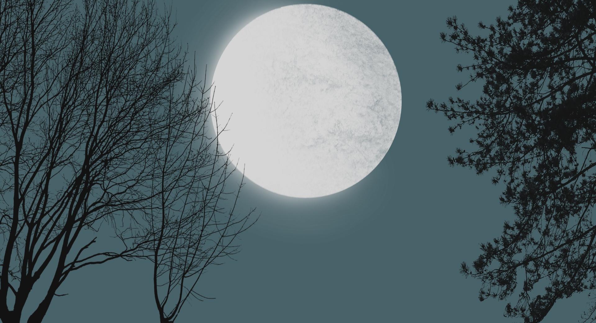 Moon With Tree Silhouettes at 1152 x 864 size wallpapers HD quality