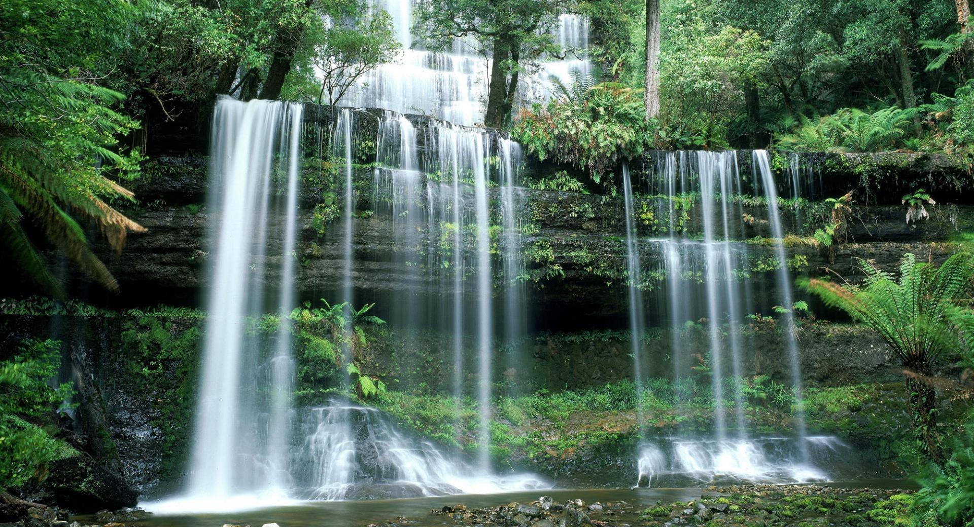 Russell Falls Mount Field National Park Tasmania wallpapers HD quality