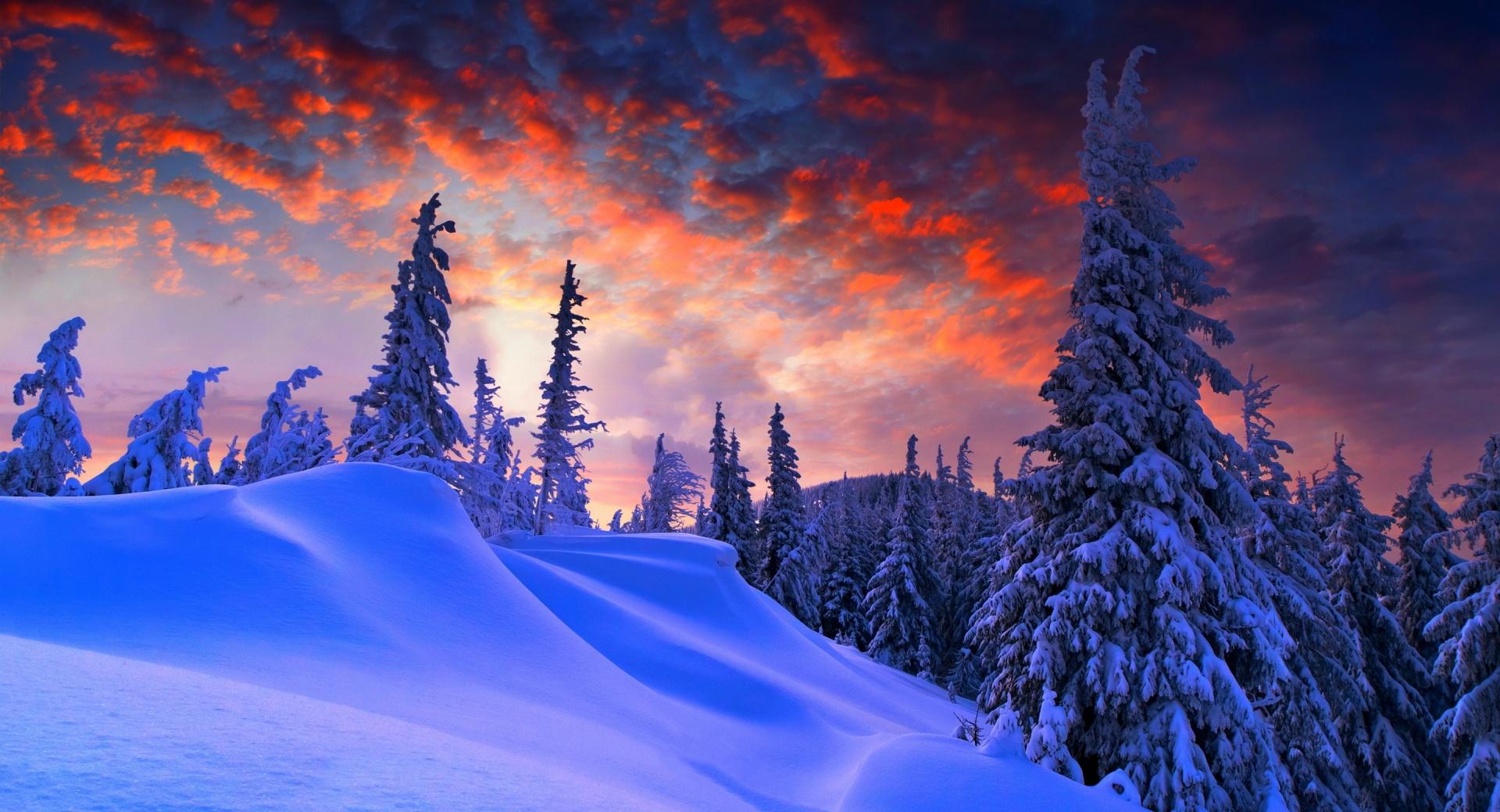 Spruces With Snow Sunset at 1024 x 1024 iPad size wallpapers HD quality