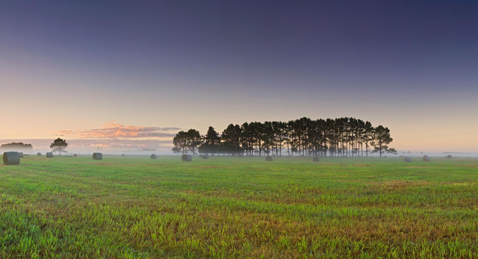 Sunrise Over Crop Field at 640 x 1136 iPhone 5 size wallpapers HD quality