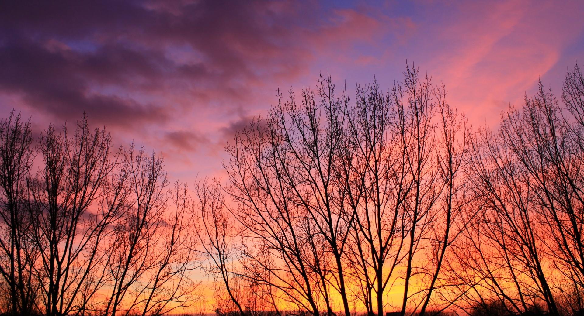 WINTER SUNSET at 750 x 1334 iPhone 6 size wallpapers HD quality