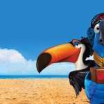 Rio 2 high definition wallpapers