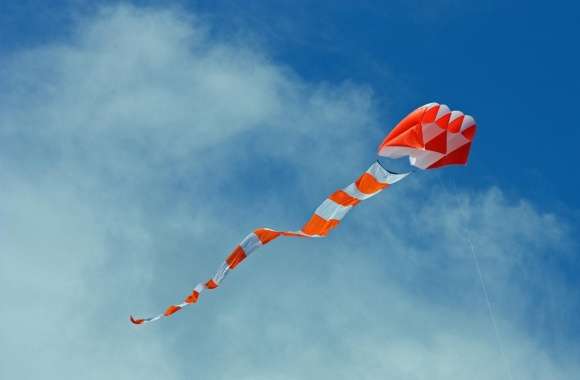 Big Orange Kite