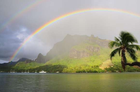 Rainbow Over Cooks Bay, Moorea, French Polynesia