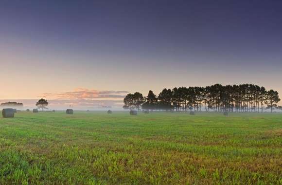 Sunrise Over Crop Field