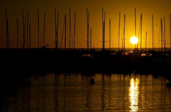 Sunrise Over The Masts Of Matilda Bay
