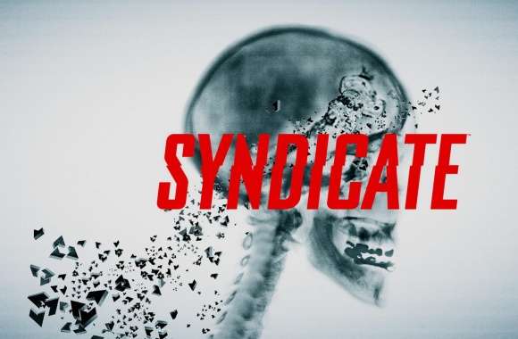 Syndicate 2012
