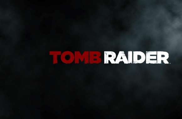 Tomb Raider 2013 Dark Poster