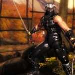 Ninja Gaiden hd desktop