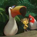 Rio 2 high quality wallpapers