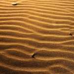 Desert Sand free download