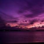 Pink Sunset wallpapers for android