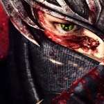 Ninja Gaiden hd photos