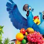 Rio 2 wallpapers for iphone