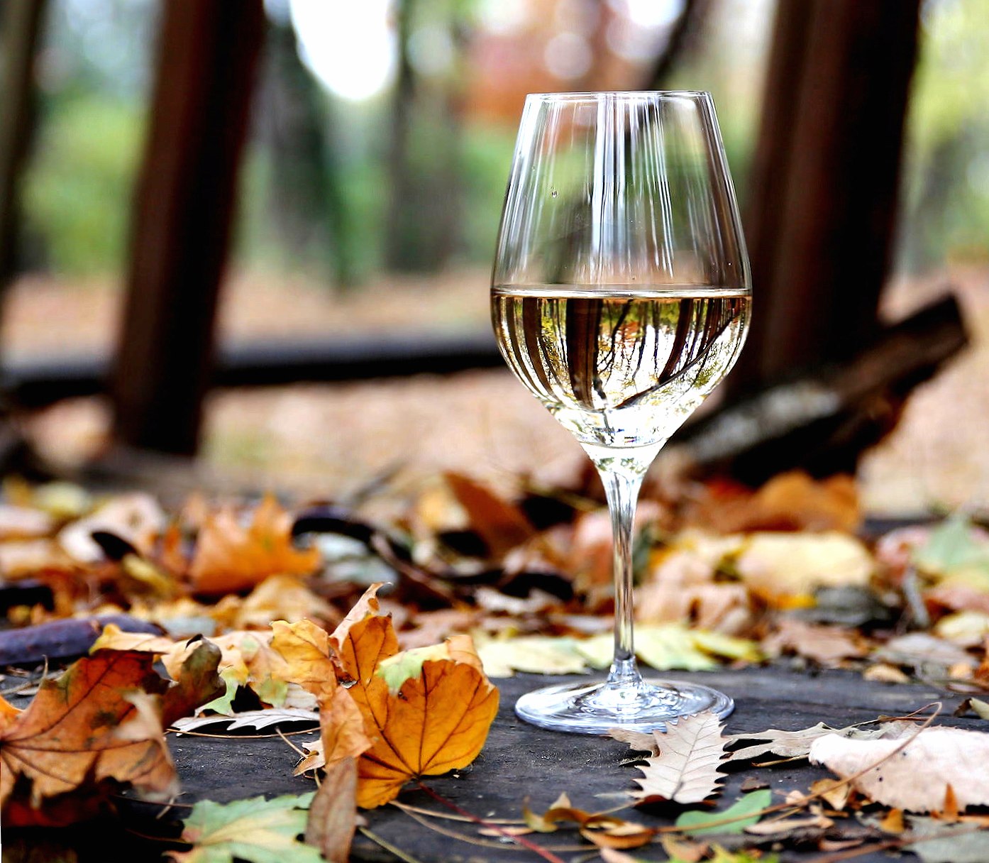 Autumn Wine at 320 x 480 iPhone size wallpapers HD quality