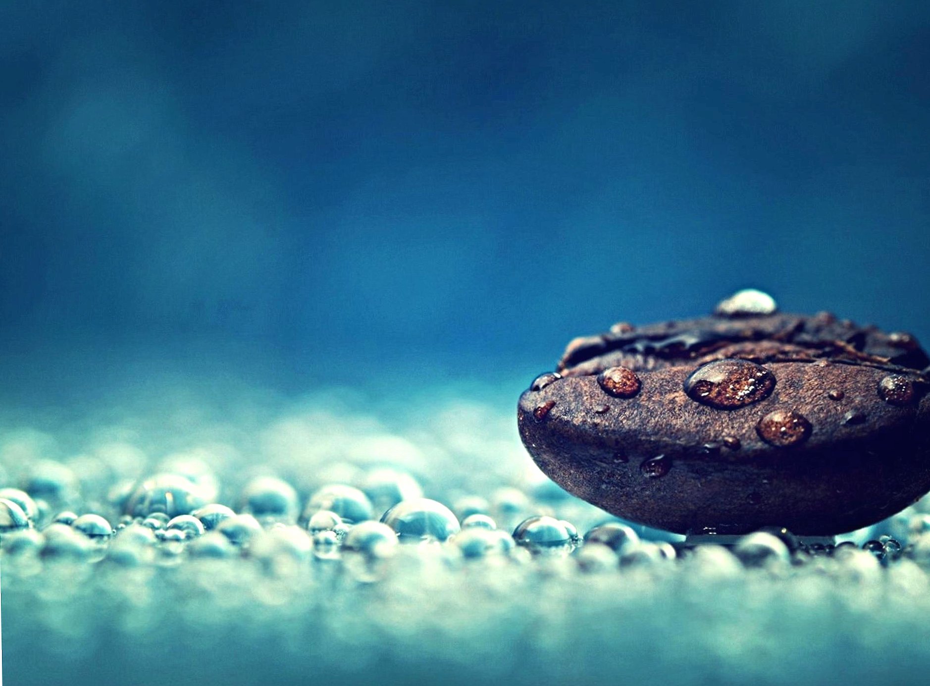 Coffe bean water drops wallpapers HD quality
