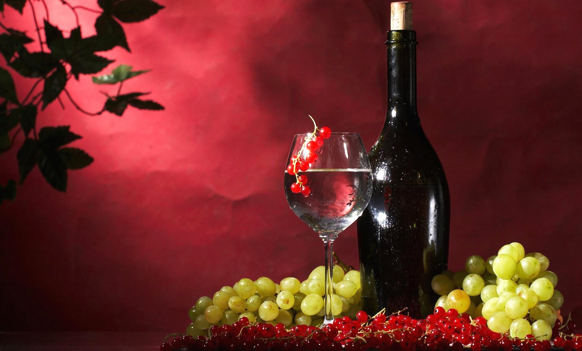 Currant and red wine at 750 x 1334 iPhone 6 size wallpapers HD quality