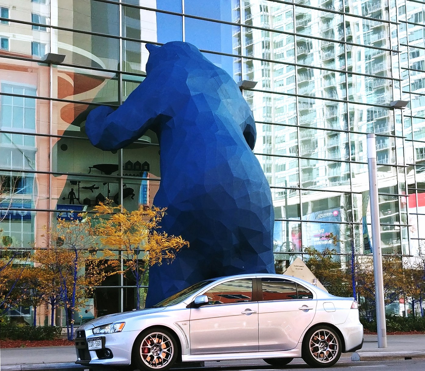 Denver blue bear at 1152 x 864 size wallpapers HD quality