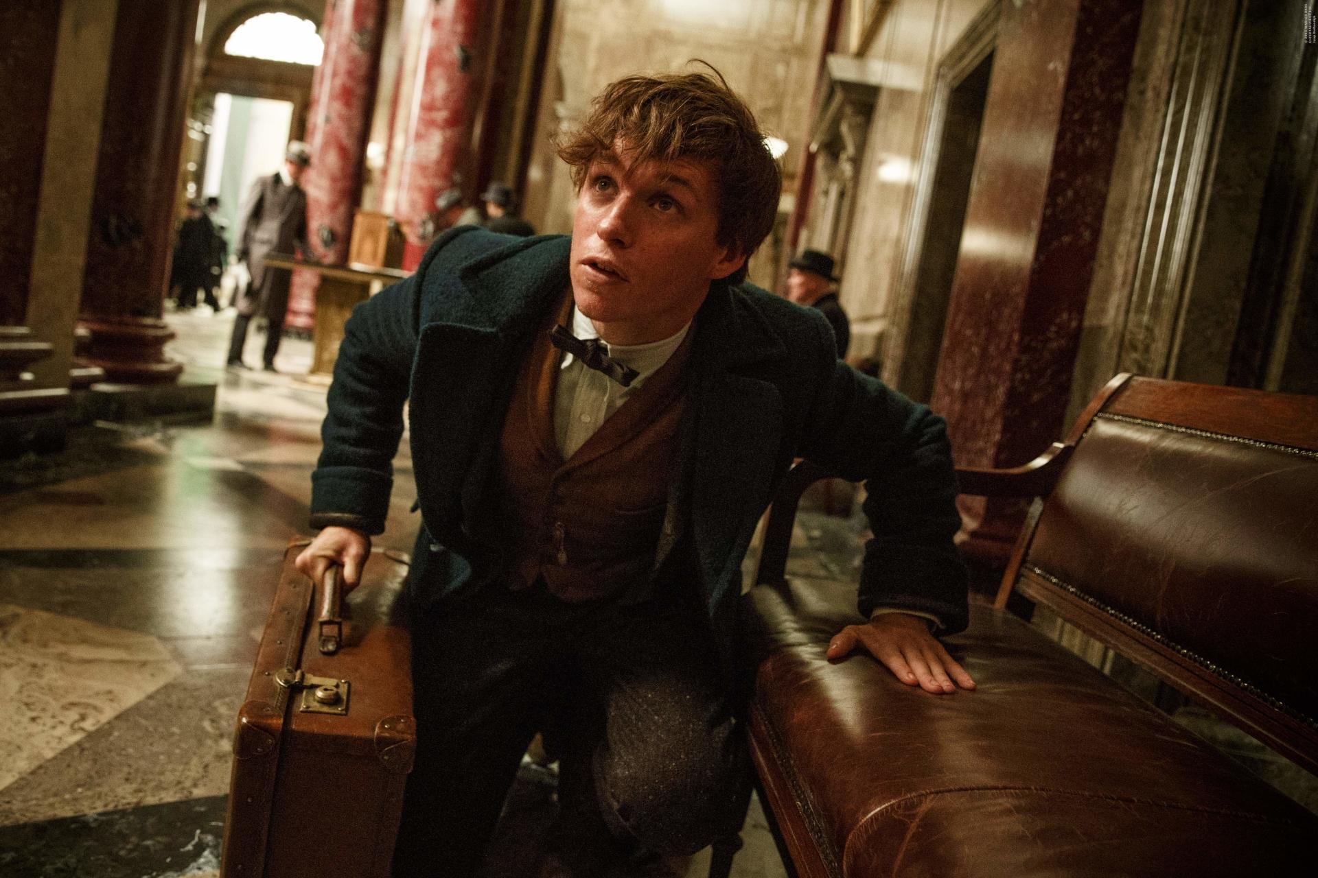 Fantastic Beasts And Where To Find Them wallpapers HD quality