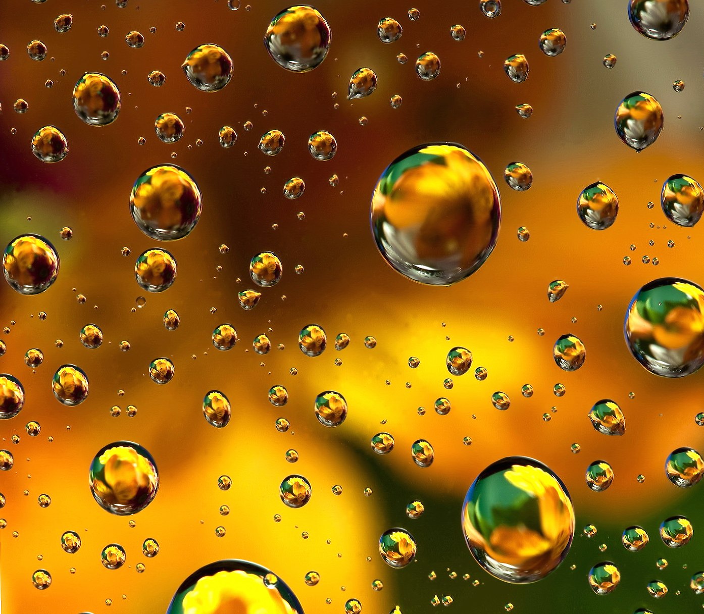 Floral Drops at 640 x 1136 iPhone 5 size wallpapers HD quality