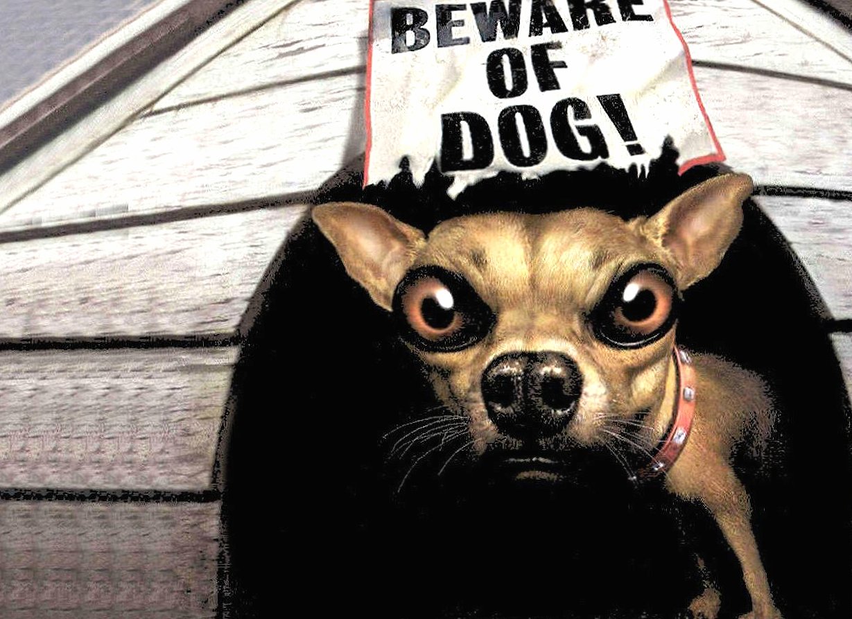 Funny beware of dog at 1280 x 960 size wallpapers HD quality