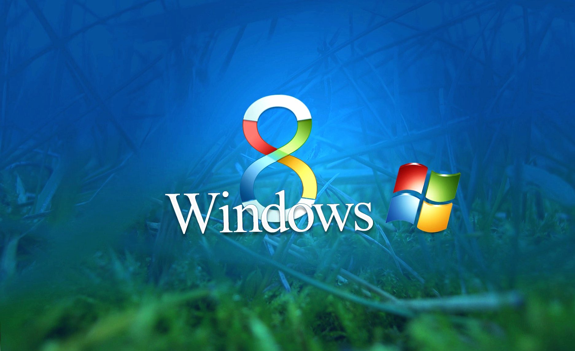 Grass windows 8 at 320 x 480 iPhone size wallpapers HD quality